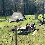 营地 6 Au Bord Du Lac, Peche Sans Permis Gratuite