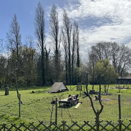6 Au Bord Du Lac, Peche Sans Permis Gratuite *