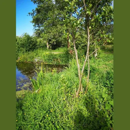 Campeggio 6 Au Bord Du Lac, Peche Sans Permis Gratuite