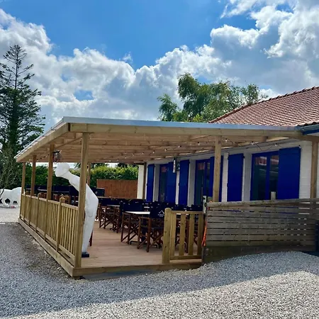 6 Au Bord Du Lac, Peche Sans Permis Gratuite * Ardres