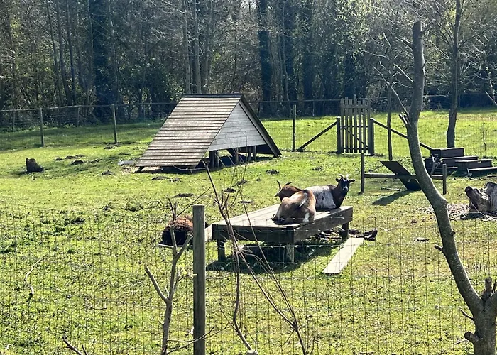 مكان تخييم 6 Au Bord Du Lac, Peche Sans Permis Gratuite