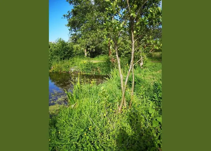 مكان تخييم 6 Au Bord Du Lac, Peche Sans Permis Gratuite